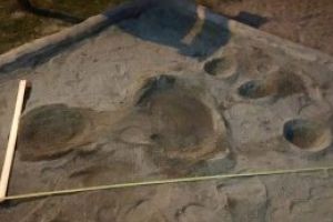 Urme „ciudate” apărute într-un părculeţ din Sfântu Gheorghe; autorităţile încearcă să dezlege misterul