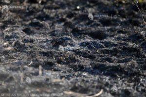 Peste 20 de incendii de vegetaţie de la începutul anului; 10 hectare de păşune pârjolite în noaptea de marţi spre miercuri