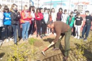 1,2 milioane de lei pentru regenerarea pădurilor din judeţul Covasna, aflate în proprietatea statului