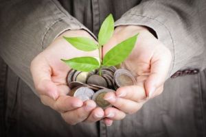 Termene pentru plata subvenţiilor în agricultură