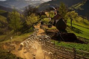 Ioan-Aurel Pop, despre cum şi-a pierdut România bogăţiile în faţa străinilor