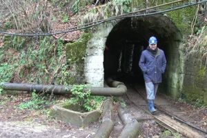 Ministrul Economiei anunţă redeschiderea minei Băiţa din Bihor