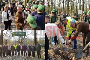 FOTO&VIDEO. Plantare de copaci împreună cu Ministrul Apelor şi Pădurilor, la Satu Mare