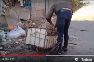 In atentia Politiei Locale si SGU! Imagini socante: o femeie e luata la bataie de un golan care arunca gunoiul in cimitirul Bolovani