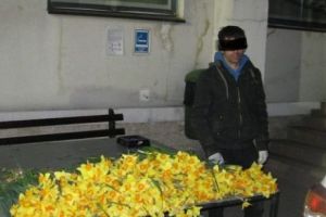 Hoţul narciselor a fost prins noaptea trecută