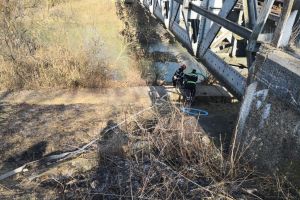 Incendiu în pădure, de la o ţigară aruncată din tren