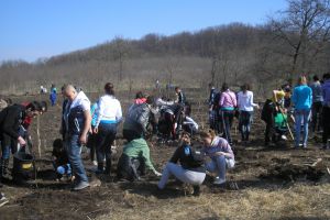 Judeţul Galaţi, ameninţat de deşertificare. În 2019, Romsilva va împăduri 404 ha