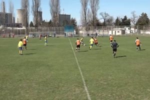 Verificare si meciuri oficiale