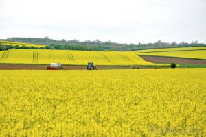 O nouă etapă pentru cadastrarea localităţilor: în Bihor s-au înscris 75 de localităţi
