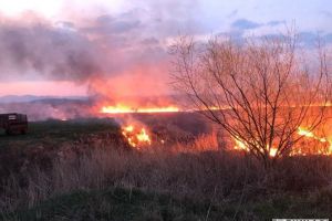 Incendiu de vegetaţie uscată la Certege – intervin pompierii din Câmpeni