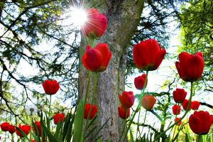 METEO: Vineri, temperaturi în uşoară creştere