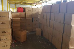 Captura in Portul Constanta. Ce au gasit vamesii intr-un container sosit din India