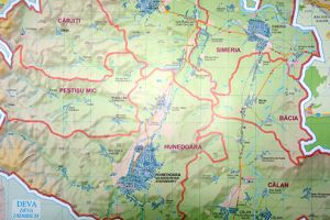 Concluzia unui vot on-line: polivalenta lui Mircia Muntean NU e deloc o prioritate