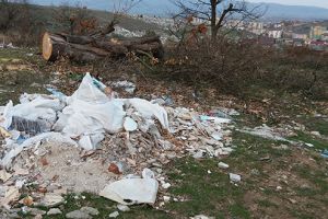 Curăţenia de la Bejan a durat doar două zile (Galerie foto)