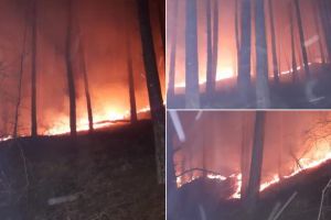 FOTO/ VIDEO/ UPDATE: Val de INCENDII de vegetaţie uscată în Alba: Pompierii intervin în Alba Iulia, Blaj, Șpring, Poşaga de Jos şi Șard