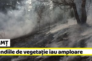 NEAMȚ: Pompierii, puşi pe jar de incendiile de vegetaţie! 32 hectare incendiate într-o singură zi