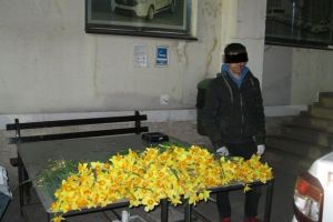 S-au furat narcisele din Parcul Justiţiei. Poliţiştii locali au numărat paguba: 555 de fire