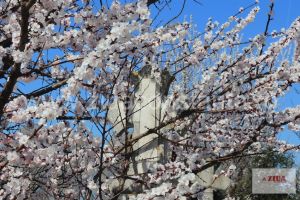 Decese Constanta 5 aprilie 2019