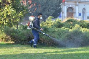 A început campania de deparazitare împotriva căpuşelor, în municipiul Braşov