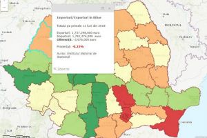 Date oficiale: În judeţul Bihor se importă mai mult decât se exportă