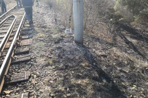 Incendiu de vegetaţie de la o ţigară aruncată din tren