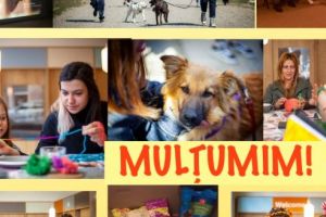 Campania IA-MĂ ACASĂ! a ajuns la final. 42 de kg de hrană uscată donată, 562 lei strânşi şi 23 de animăluţe care şi-au găsit o familie