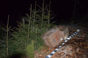 7.500 de pachete cu ţigări de contrabandă, descoperite la Straja