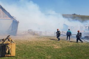 FOTO Incendiu la o stână din Șura Mare