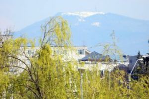 Imaginea zilei: Primavara in oras, iarna la munte