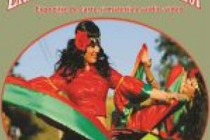 Ziua Internaţională a Romilor  Expoziţie de carte şi materiale audio-video, la AMAN