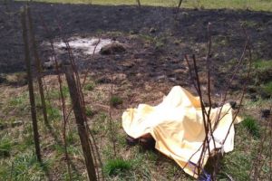 FOTO: Femeie găsită carbonizată în localitatea Dubiştea de Pădure din comuna Ibăneşti