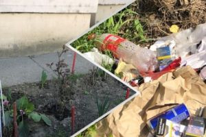 Contrastul de la „L”-uri: unii merită PREMIU, alţii… un ŞUT în D.O.S.