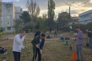 Copacii saditi anul trecut au fost vandalizati: Verde Urban“, actiune de plantare in cartierul Tomis Nord 