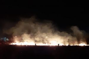 Incendiu de vegetaţie pe drumul de centură al Bistriţei (FOTO)