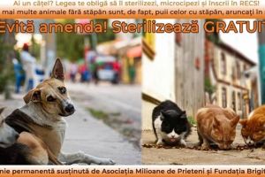 Campanie gratuită de sterilizare a câinilor şi pisicilor, în Braşov şi Zărneşti