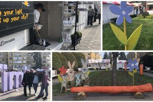 Aşa arată Târgul de Paşti 2019 pregătit de PMT: flori, fluturaşi, iepuraşi şi morcovi înfipţi în pământ