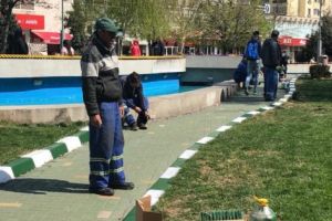 Cu SIMFONIA LALELELOR în linie dreaptă. Programul complet