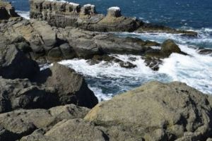 Pericol la Marea Neagră. Valurile aduc droguri la mal. Breaking news