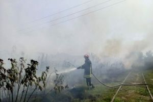 Trafic feroviar blocat în centrul ţării. Incendiu lângă şinele de cale ferată