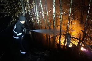 Val de incendii de vegetaţie în ultima perioadă, în Bistriţa-Năsăud