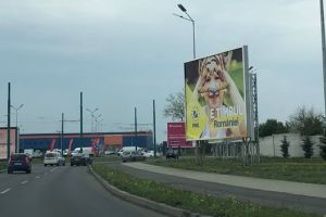 BEJ obligă PNL să elimine panourile electorale din intersecţiile Timişoarei