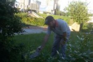 Incep actiunile de deratizare in municipiul Constanta