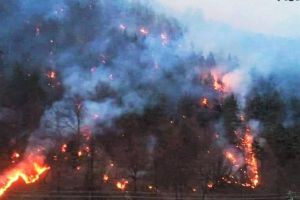 ALARMA! Incendiul de padure de pe Valea Oltului continua sa se extinda! Localnicii sunt disperati!