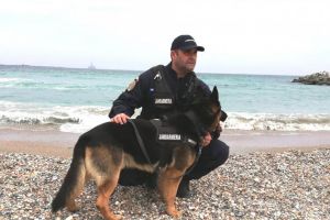 Pachete cu droguri cautate pe plaja cu ajutorul unui caine special antrenat din cadrul IJJ Constanta (galerie foto)