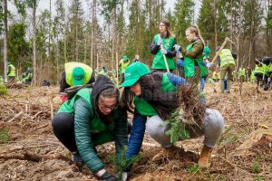 Amplă acţiune de împădurire cu aproape 6200 de arbori, la Clit, prin proiectul ...