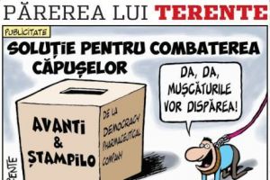 Părerea lui Terente