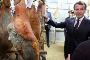 Franţa şi „Vestele galbene”, într-un impas major. Corespondenţă de la Paris de Marcela Feraru