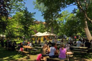 Mii de arădeni s-au distrat la Festivalul Berii în acest weekend (GALERIE FOTO)