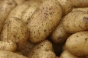 Mancare saracului de ieri, trufandaua de astazi. Cartoful nostru cel de toate zilele devine un lux pentru romani