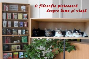 Raftul cu pisici. O filosofie pisicească despre lume şi viaţă